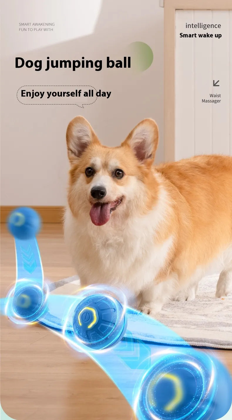 Smart Interactive Pet Toy Ball