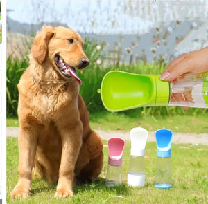 Dogs