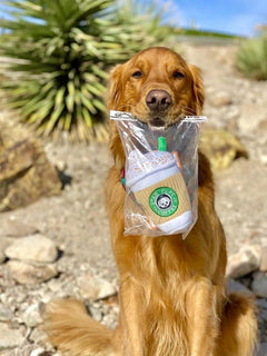 Dog Sound Spice Latte Plush Toy