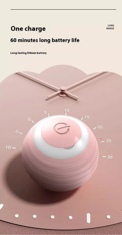 Smart Interactive Pet Toy Ball